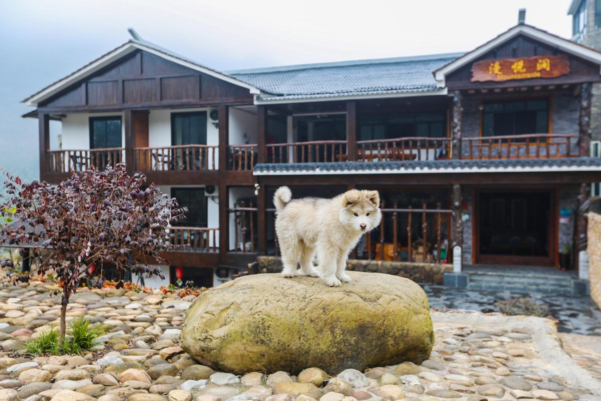 Zhangjiajie Mountainside Exterior foto